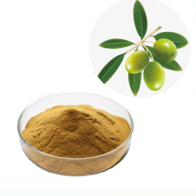Manufacture Suuply Best Price Pure Natural Organic Oleuropein Olive Leaf Extract